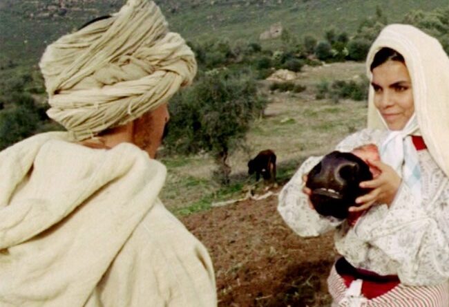 Jajouka, quelque chose de bon vient vers toi